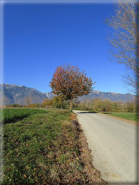 foto Alle pendici del Monte Grappa in Autunno